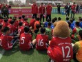 足球爆料计划最新,独家内幕，揭秘赛场风云