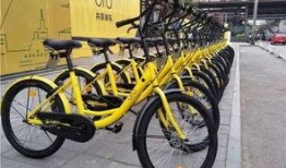 进口自行车爆料案例最新,最新爆料案例深度剖析