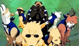 火影忍者帕克最新爆料2025,揭秘忍者世界的全新篇章