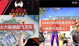 精英最新版本爆料下载,全新功能与升级亮点抢先看