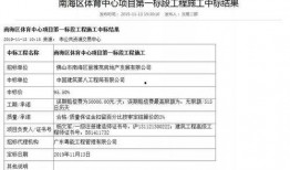 狮山最新爆料消息查询表,揭秘神秘项目进展与影响概览
