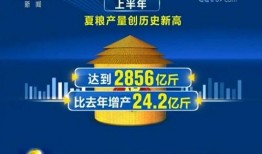 三农联盟爆料最新消息新闻,最新农业政策动向及农村发展动态解析”