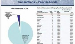 加拿大银行爆料案例最新,揭秘跨国洗钱黑幕