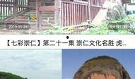 袁甲直播爆料最新消息视频,最新热点事件深度剖析