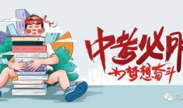 海思工程师爆料了吗最新消息,揭秘芯片领域重大进展与挑战