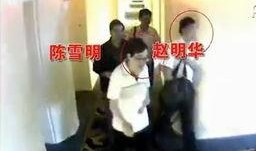 浙江爆料事件视频最新,揭秘背后惊人真相