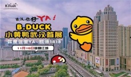 b.duck最新爆料,揭秘娱乐圈最新动态